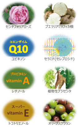 センチフォリアローズ・プエラリアミリフィカ根・ユビキノン・セラミド（セレブロシド）・レチノール・植物性プラセンタ・トコトリエノール・オリーブスクワラン