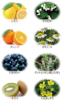 レモン・どくだみ・オレンジ・カモミール・ビルベリー・グリチルリチン酸（甘草）・キウイ・トルメンチラ