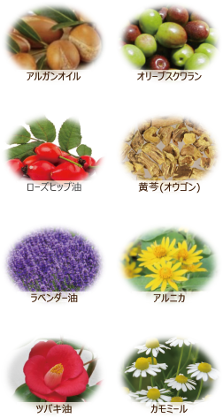 アルガンオイル・オリーブスクワラン・ローズヒップ油・オウゴン・ラベンダー油・アルニカ・ツバキ油・カモミール