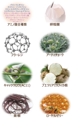 アミノ酸全種類・卵殻膜・フラーレン・アーティチョーク・キャッツクロウ（AC11）・プエラリアミリフィカ根・紫根・ローヤルゼリー
