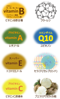ビタミンB群全種・フラーレン・レチノール・ユビキノン・トコトリエノール・セラミド（セレブロシド）・ビタミンC誘導体・プエラリアミリフィカ根
