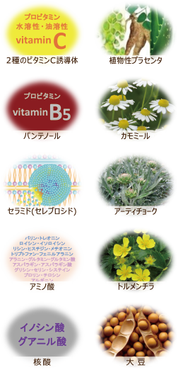 2種のビタミンC誘導体・植物性プラセンタ・パンテノール・カモミール・セラミド（セレブロシド）・アーティチョーク・アミノ酸・トルメンチラ・核酸・大豆