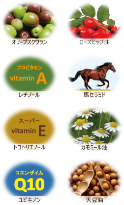オリーブスクワラン・ローズヒップ油・レチノール・馬セラミド・トコトリエノール・カモミール油・ユビキノン・大豆油