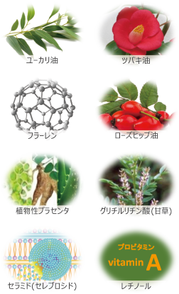 ユーカリ油・ツバキ油・フラーレン・ローズヒップ油・植物性プラセンタ・グリチルリチン酸（甘草）・セラミド（セレブロシド）・レチノール